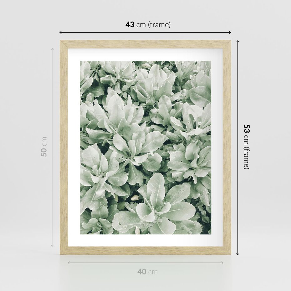 Plakat w ramie 40x50 - Liście w Jasnych Odcieniach Zielonego - liście, jasna zieleń fotografia - rama drewno