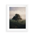 Plakat w ramie 40x50 - Zamglona Prostota - artystyczna fotografia, samotne drzewo na zamglonej łące - rama biała