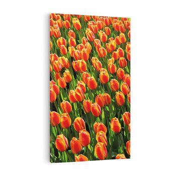 Obraz na płótnie 80x120 - Tulipanowa eksplozja - tulipany, kwiaty