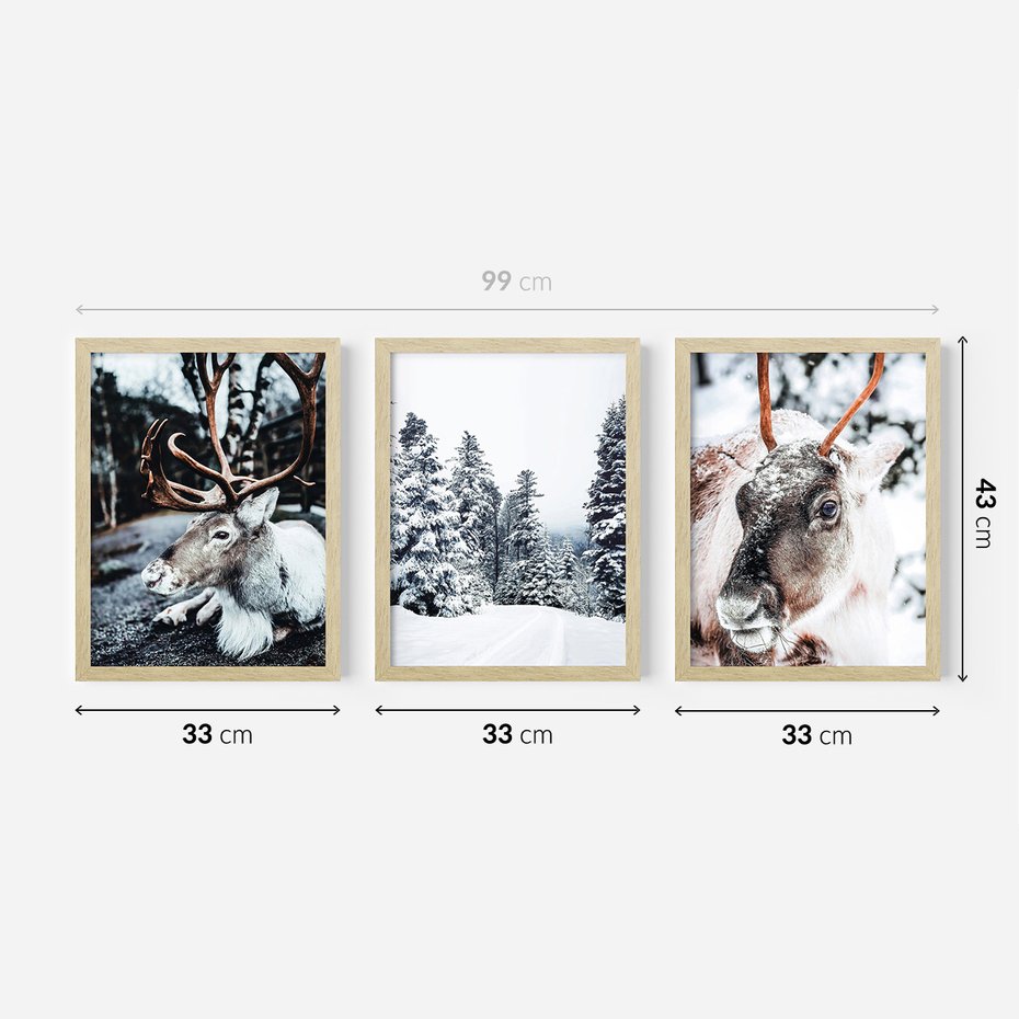 Zestaw obrazy w ramie 30x40 galeria - Renifer, zima, las, pejzaż, natura - rama drewno