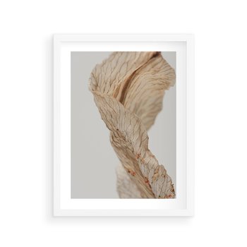 Plakat w ramie 40x50 - Suszone piękno - susz, suche - rama biała