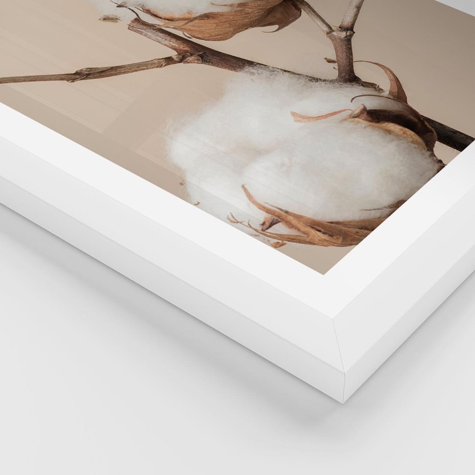 Plakat w ramie 50x70 - Bawełniana melancholia - bawełna, suche - rama biała