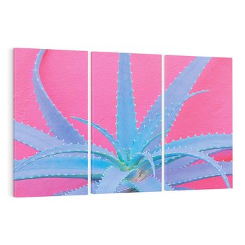 Obraz na płótnie 120x80 - Piękno Pustyni - kaktusy, liście