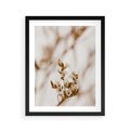 Plakat w ramie 40x50 - Kwiatowa suchość - kwiaty, susz - rama czarna