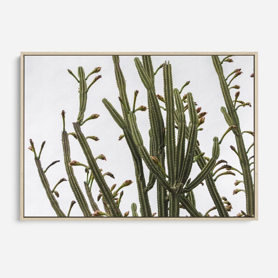 Obraz w ramie 70x50 - Ekskluzywna Roślinność - kaktusy, liście - rama drewno