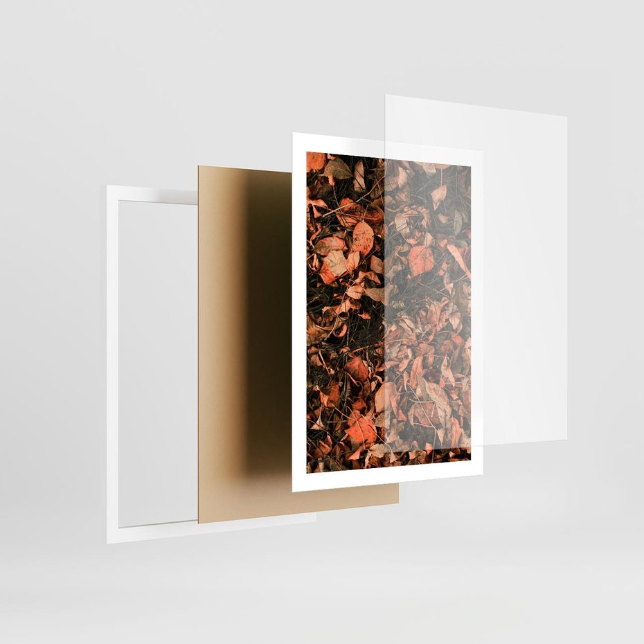 Plakat w ramie 50x70 - Jesienny Splot: Pomarańczowe Liście - liście, pomarańczowe suche liście - rama biała