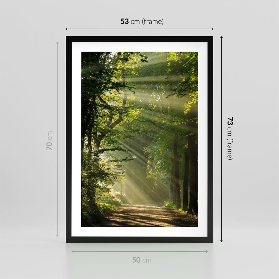 Plakat w ramie 50x70 - harmonia natury - las, drzewa - rama czarna