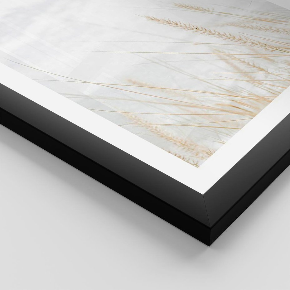 Plakat w ramie 30x40 - Jasna Delikatność: Fotografia Suchych Traw - suche trawy, jasna fotografia - rama czarna