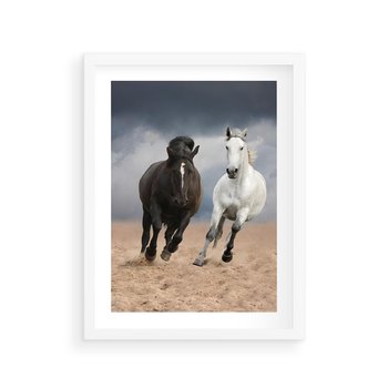 Plakat w ramie 30x40 - Siła koni w galopie - konie, galop - rama biała