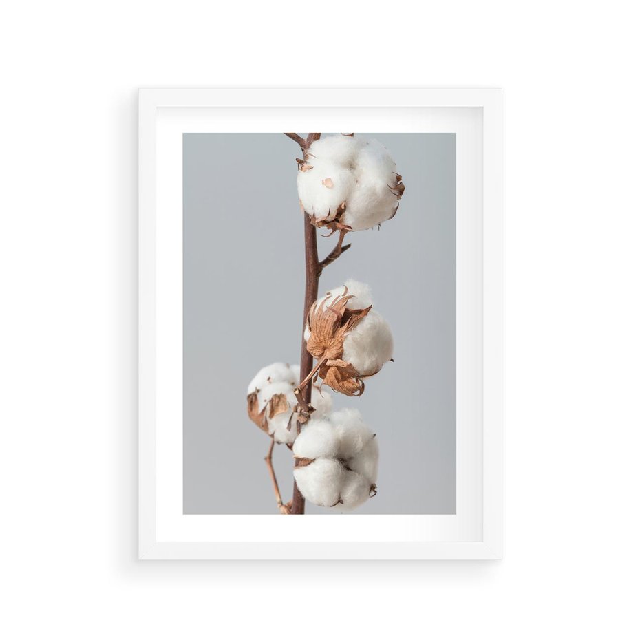 Plakat w ramie 30x40 - Bawełniana boho miękkość - bawełna, boho - rama biała