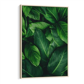 Obraz w ramie 50x70 - Palma Liście Kwiat - palma, liście - rama drewno