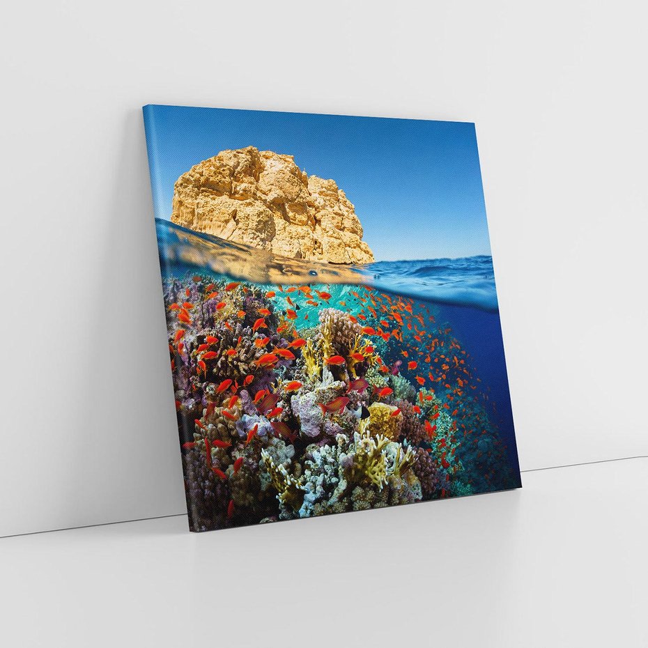 Obraz na płótnie 50x50 - Rafa koralowa w oceanie - rafa, koralowa