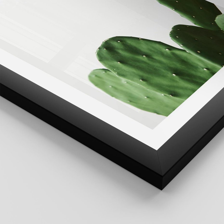 Plakat w ramie 40x50 - Minimalizm Natury - kaktus, zbliżenie - rama czarna