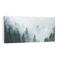 Obraz na płótnie 120x60 - Las w Mgłe - las, we