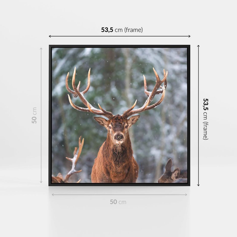 Obraz w ramie 50x50 - Monarcha Zimowej Dziczy - jeleń, zima - rama czarna