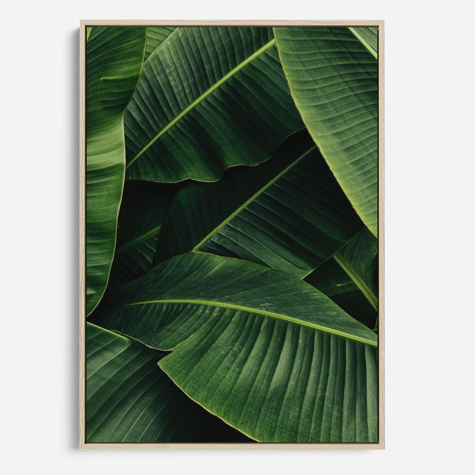 Obraz w ramie 50x70 - Zaklęta roślinna ekspresja - liście bananowca, gęsto ułożone - rama drewno