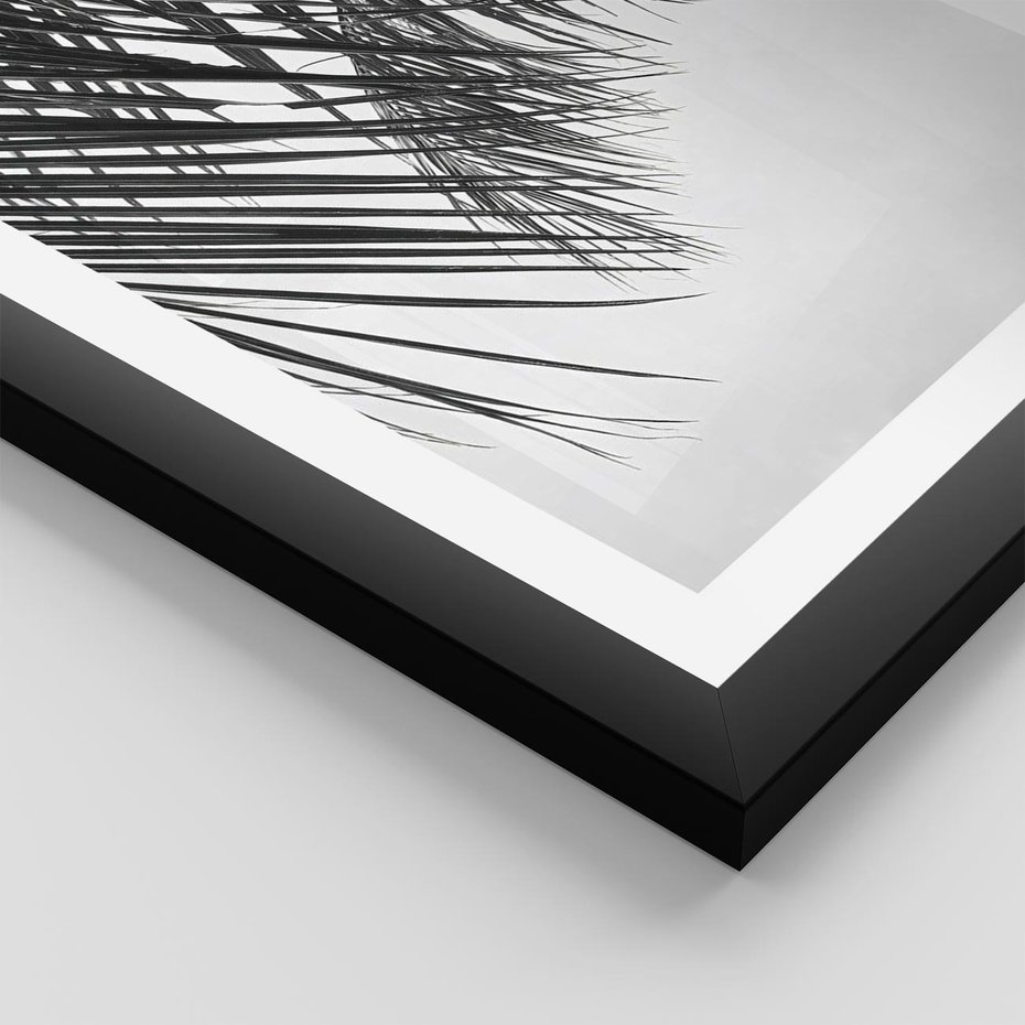 Plakat w ramie 50x70 - Czarno-Biały Kontrast - czarno białe zdjecie, palma - rama czarna