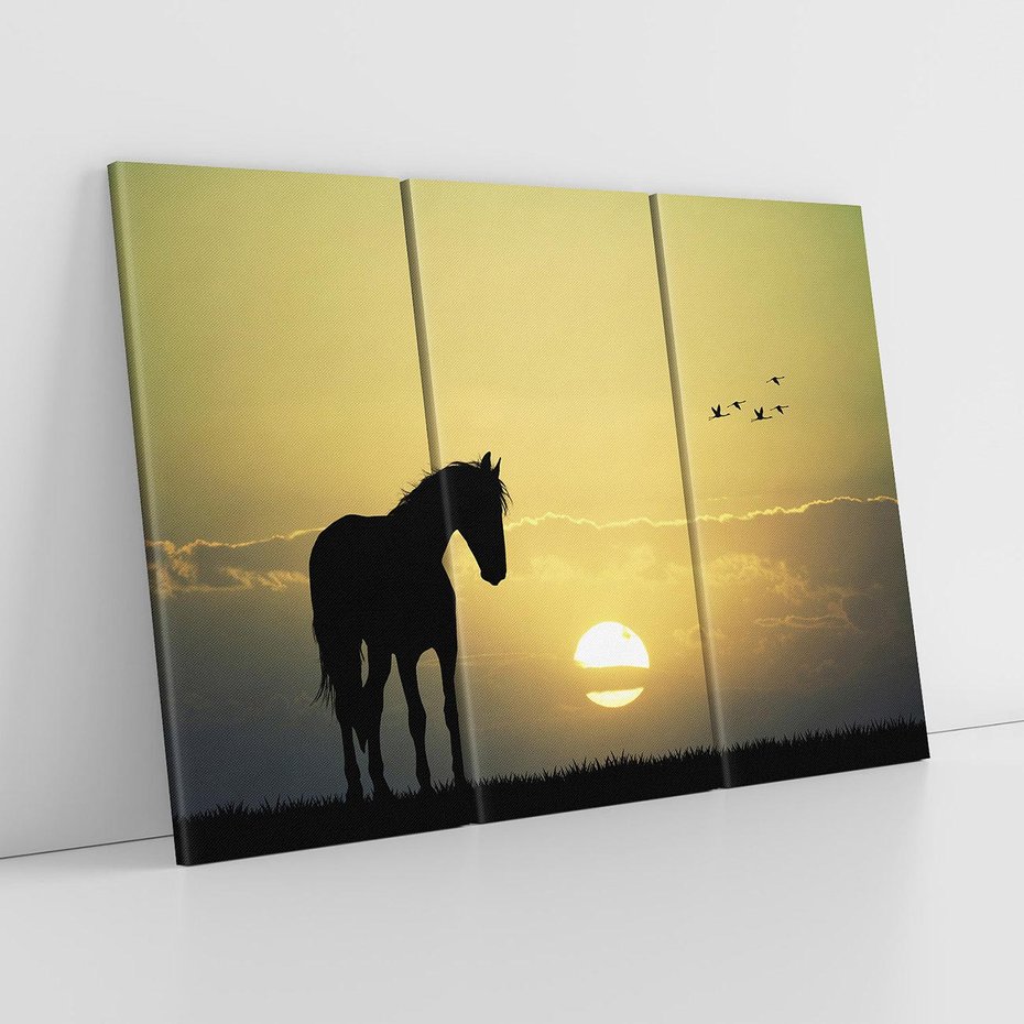 Obraz na płótnie 120x80 - Koń w Zachodnim Świetle - koń, ptaki
