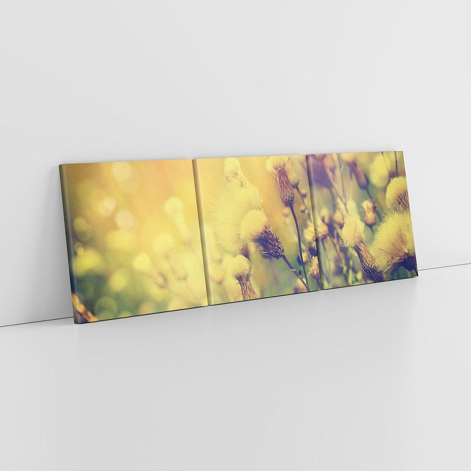 Obraz na płótnie 150x50 - Natura w pełnym rozkwicie - łąka, natura