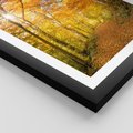 Plakat w ramie 40x50 - Złote barwy jesiennego lasu - las, jesień - rama czarna