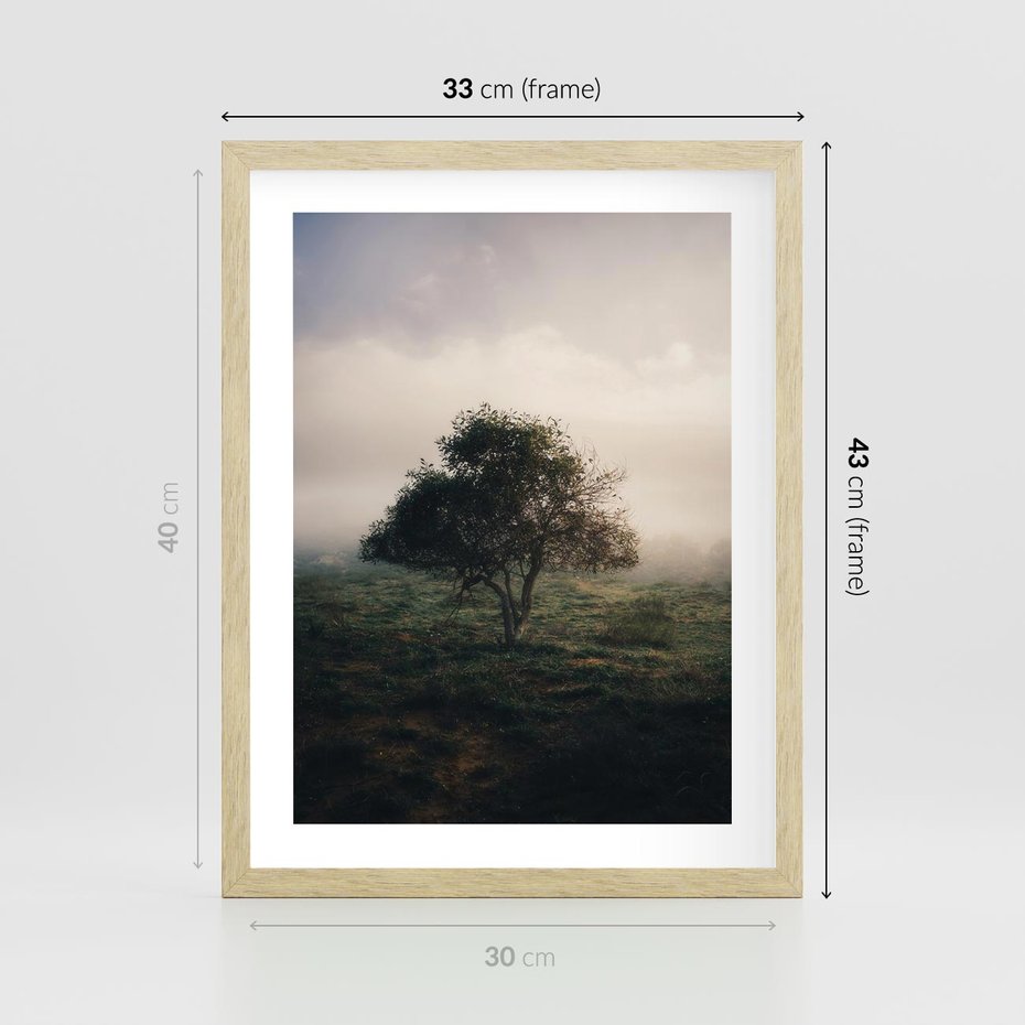 Plakat w ramie 30x40 - Zamglona Prostota - artystyczna fotografia, samotne drzewo na zamglonej łące - rama drewno