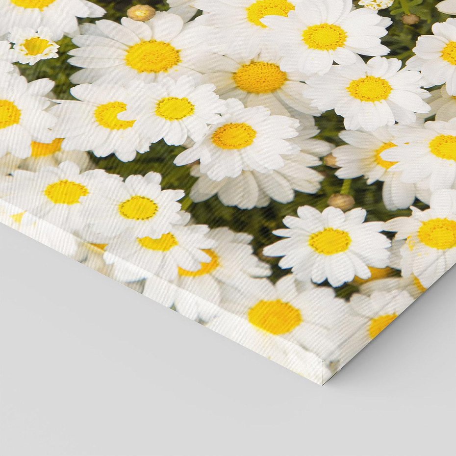 Obraz na płótnie 100x70 - Delikatność Kwiatowej Przyrody - stokrotki, kwiaty