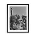 Plakat w ramie 50x70 - Pustynny Klimat - czarno białe zdjecie, pustynia - rama czarna