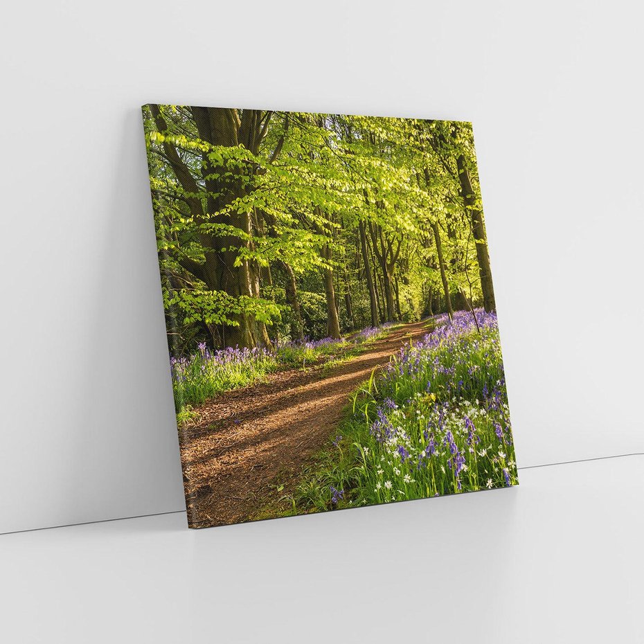 Obraz na płótnie 40x40 - Magia lasu: Drzewa w tajemniczej otoczce - las, drzewa