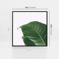 Obraz w ramie 50x50 - Zielone liście monstery - liście, monstera - rama czarna