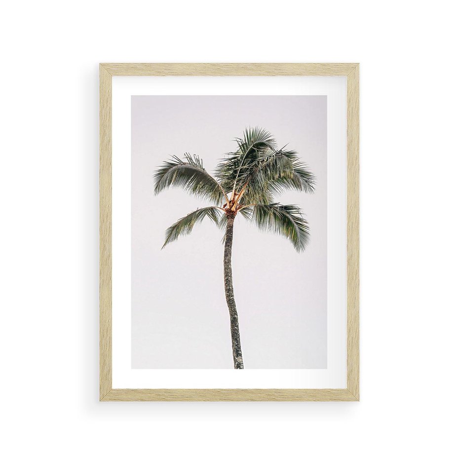 Plakat w ramie 30x40 - Wakacyjne Marzenia - palma na tle nieba - rama drewno