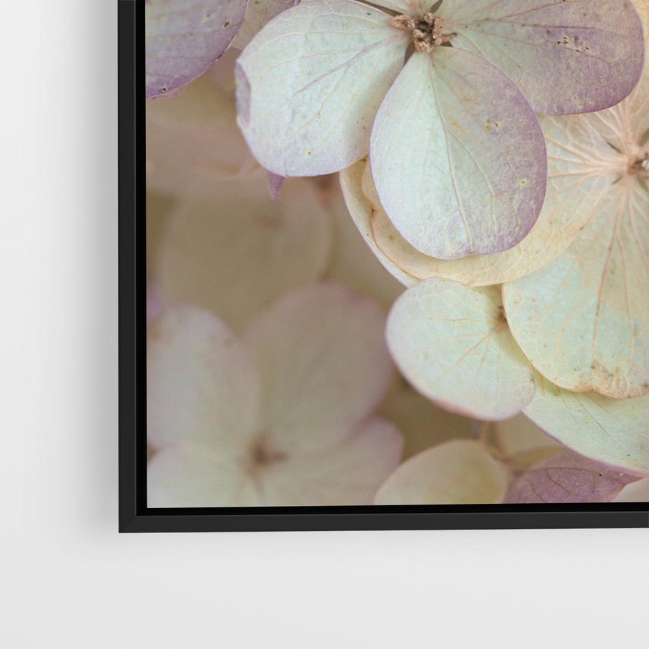 Obraz w ramie 50x50 - Kwiatowy taniec - kwiaty, hortensje - rama czarna