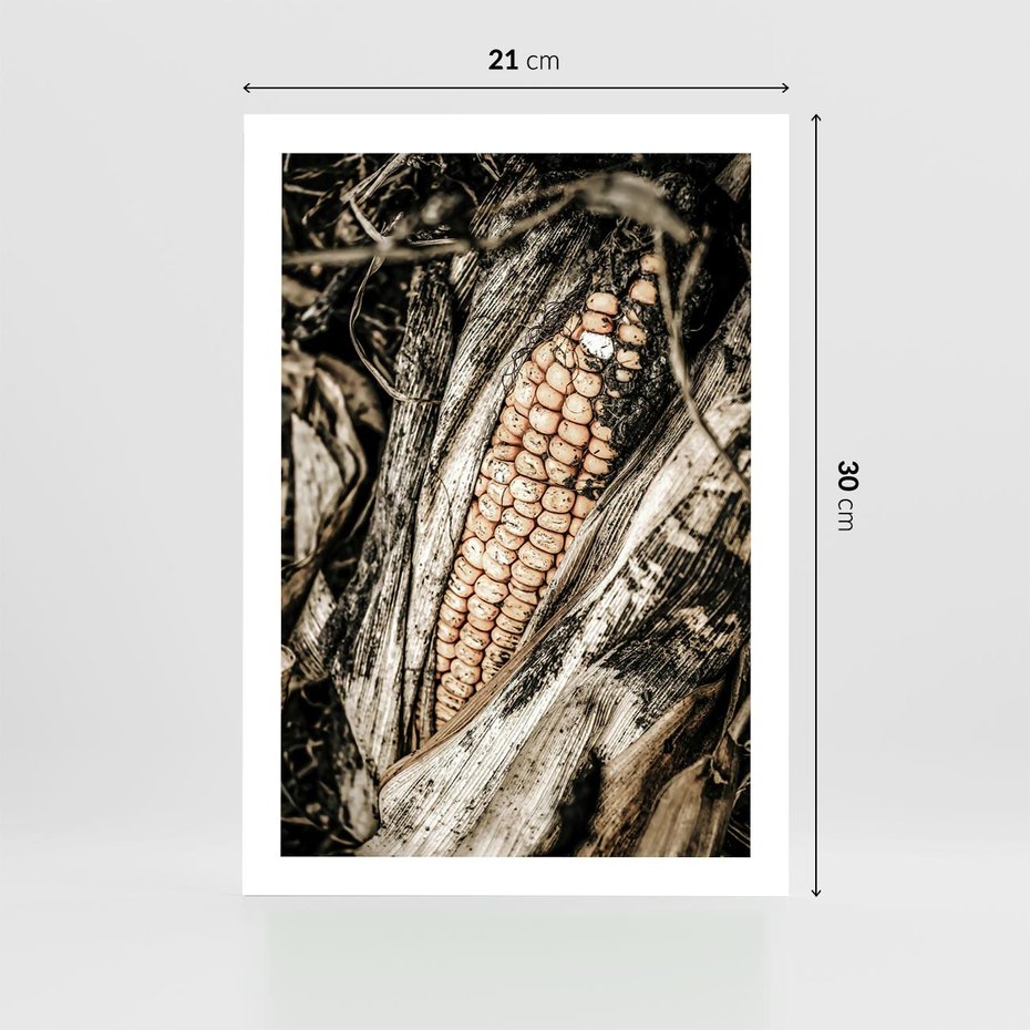 Plakat bez ramy 21x30 - Kukurydza w Jesiennej Scenie - kukurydza, jesień