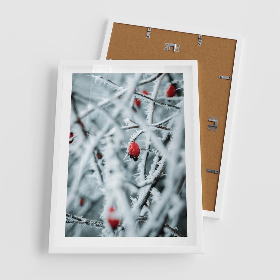Plakat w ramie 50x70 - Zima na Gałęziach - zima, oszronione gałęzie - rama biała