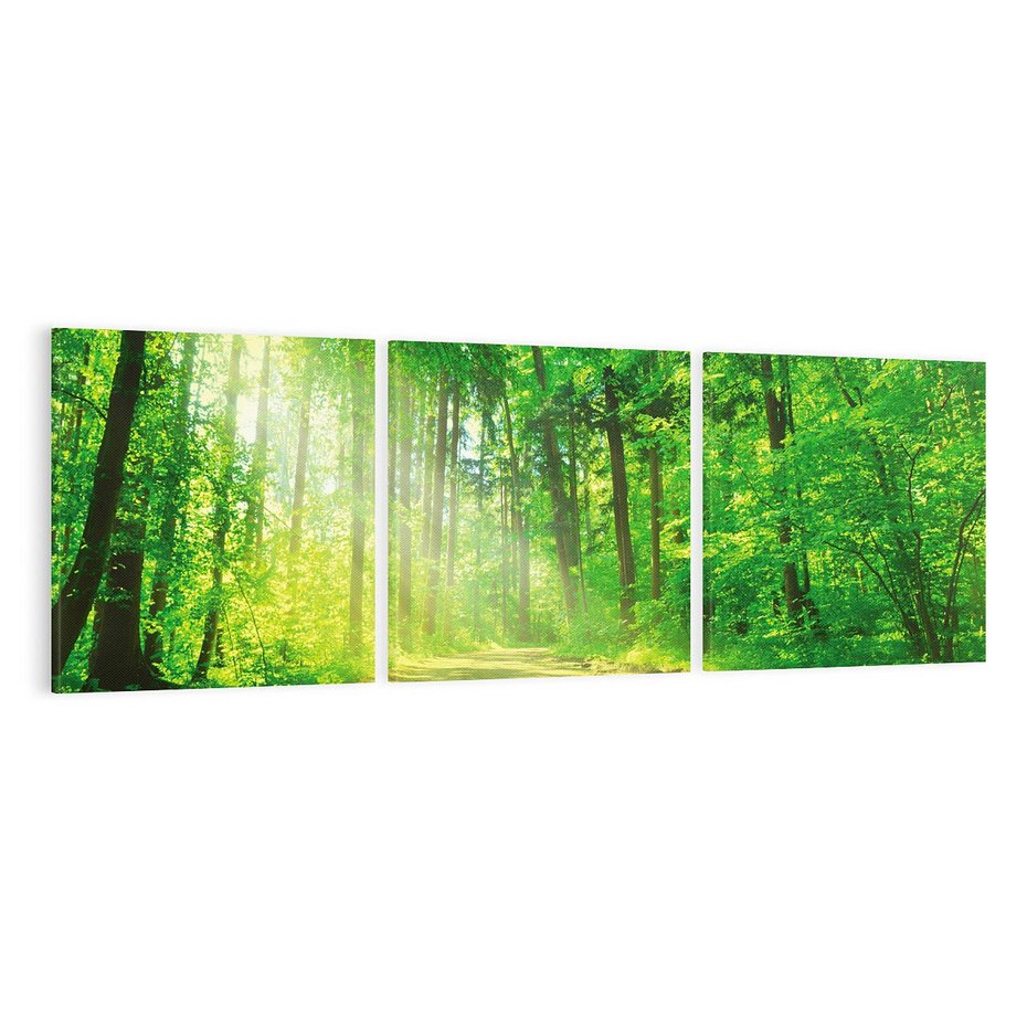 Obraz na płótnie 120x40 - Urok lasu na drodze - las, drzewa