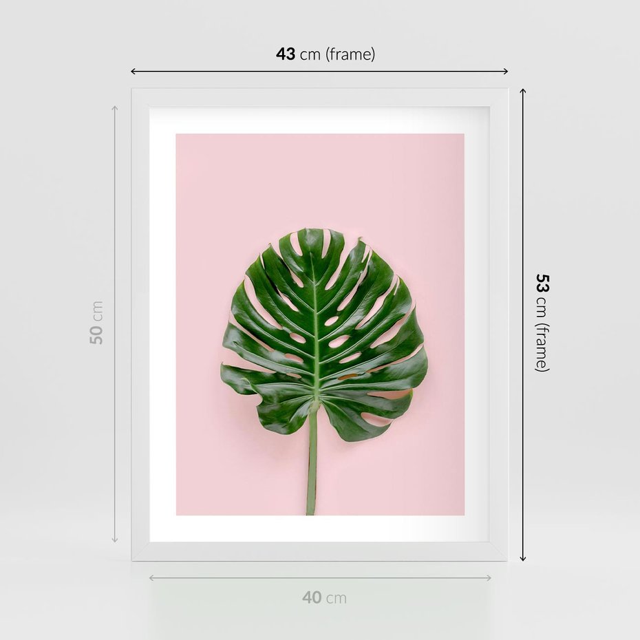 Plakat w ramie 40x50 - Egzotyczna Roślinność - liście, monstera - rama biała