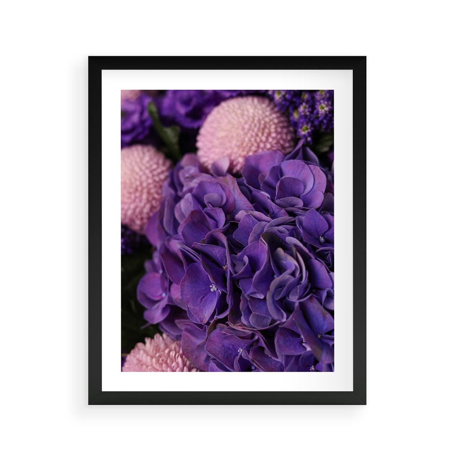 Plakat w ramie 40x50 - Fioletowa hortensja - kwiaty, hortensja - rama czarna