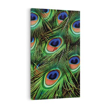 Obraz na płótnie 80x120 - Pawi Ogon - Piękno i Wspaniałość - paw, pióra