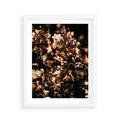 Plakat w ramie 40x50 - Sucha Kompozycja Kwiatów - suche kwiaty hortensji - rama biała