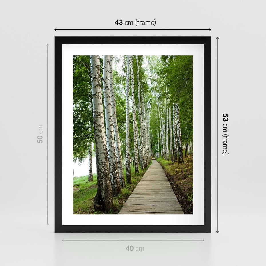Plakat w ramie 40x50 - Spacer ścieżką przez brzozowy las - las, ścieżka - rama czarna