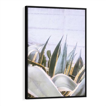 Obraz w ramie 50x70 - Sukulentowe liście - liście, sukulenty - rama czarna