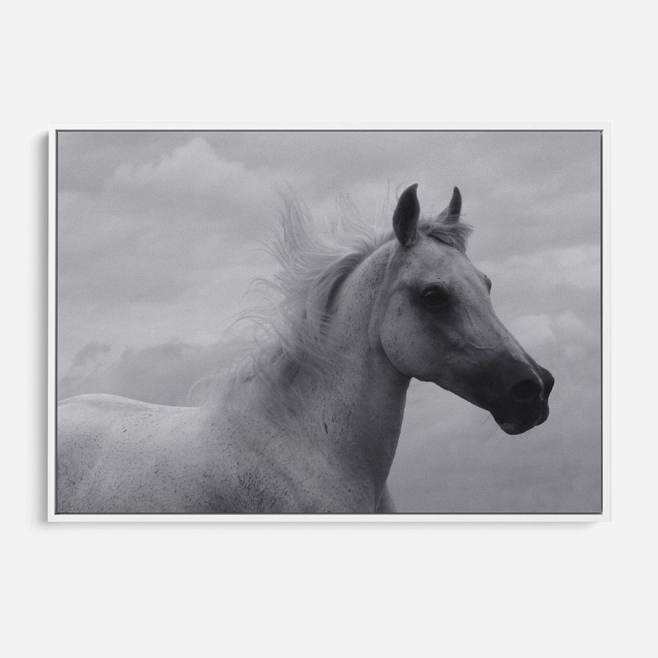 Obraz w ramie 70x50 - Moc i Wolność - czarno biała fotografia, biały - rama biała