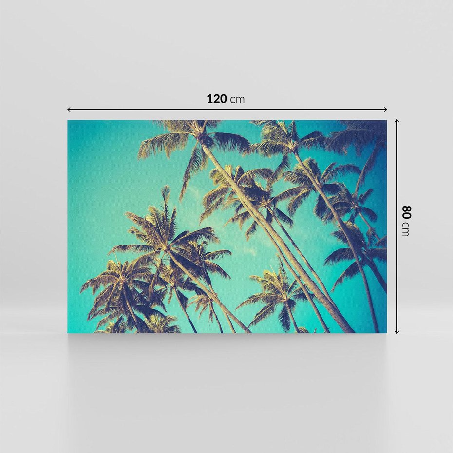 Obraz na płótnie 120x80 - Tropikalne palmy w krainie słonecznych wakacji - palmy, tropiki