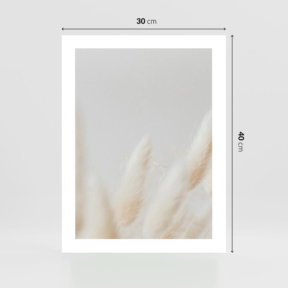 Plakat bez ramy 30x40 - Biały Spokój - białe trawy, suche trawy pampas
