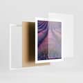 Plakat w ramie 40x50 - Pole Lawendy w Pełnej Krasie - pole lawendy, kompozycja - rama biała