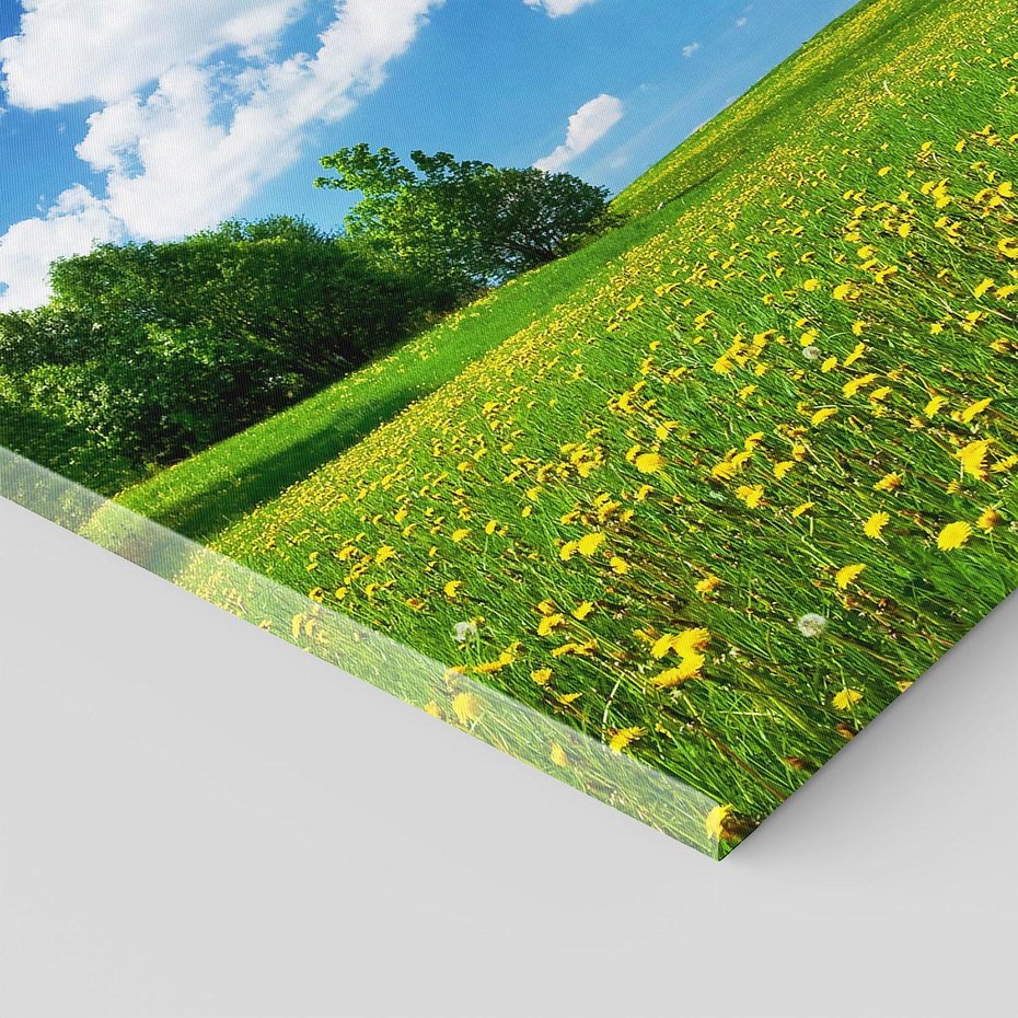 Obraz na płótnie 70x50 - Polana wśród drzew: Spokój i harmonia - polana, łąka