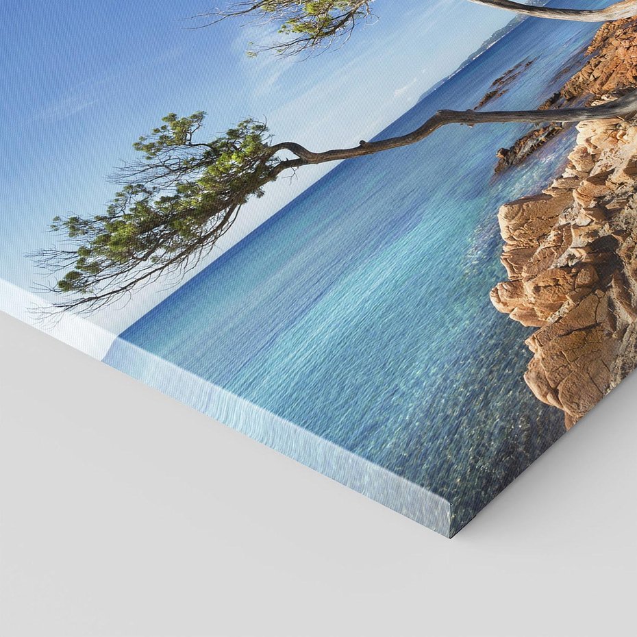 Obraz na płótnie 120x80 - Korsyka - morze i drzewa - Korsyka, morze