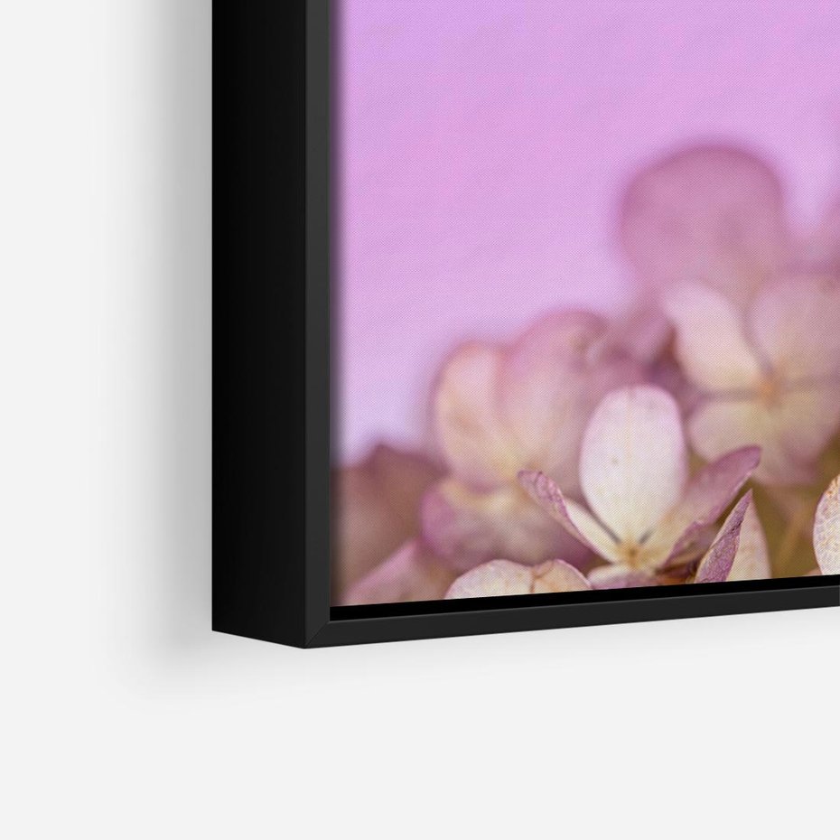 Obraz w ramie 50x50 - Kwiatowa Uroda - kwiaty, hortensje - rama czarna