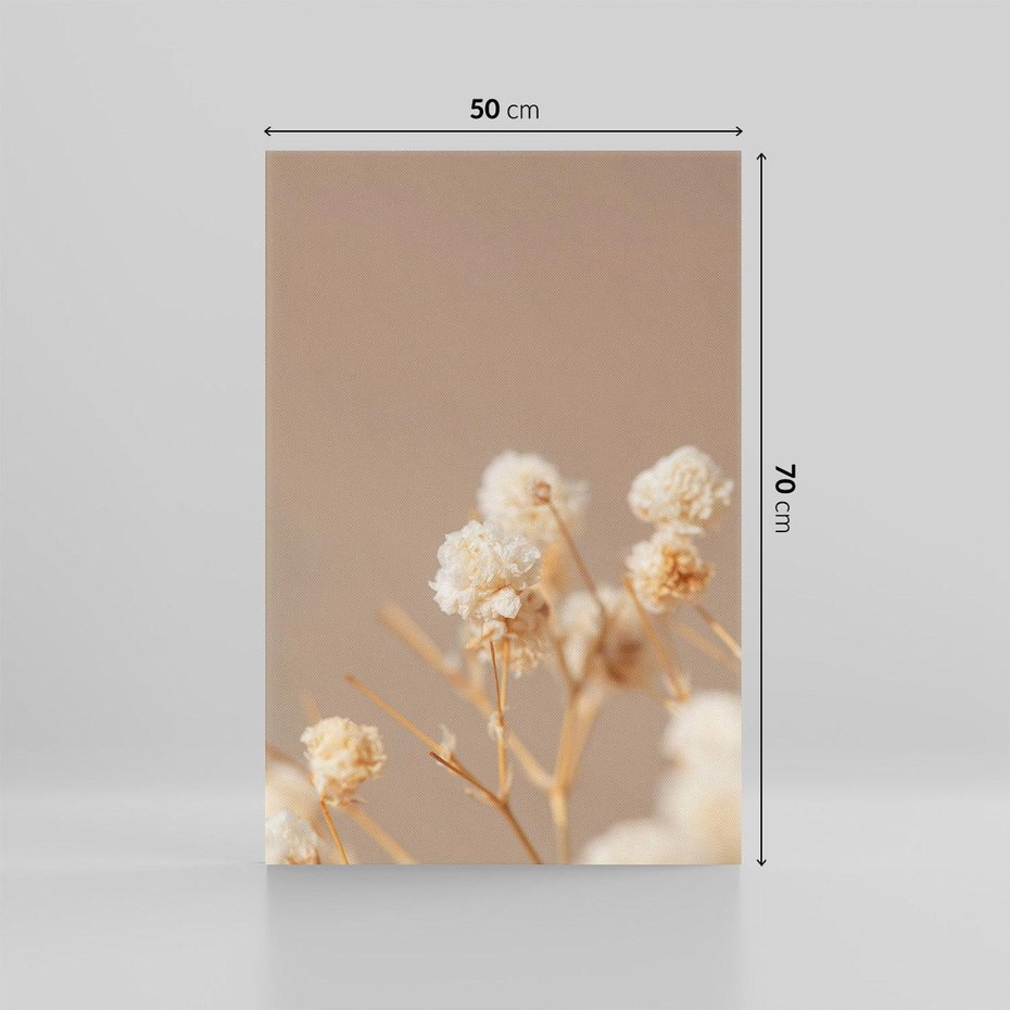 Obraz na płótnie 50x70 - Przezroczyste piękno - gipsówka, suche