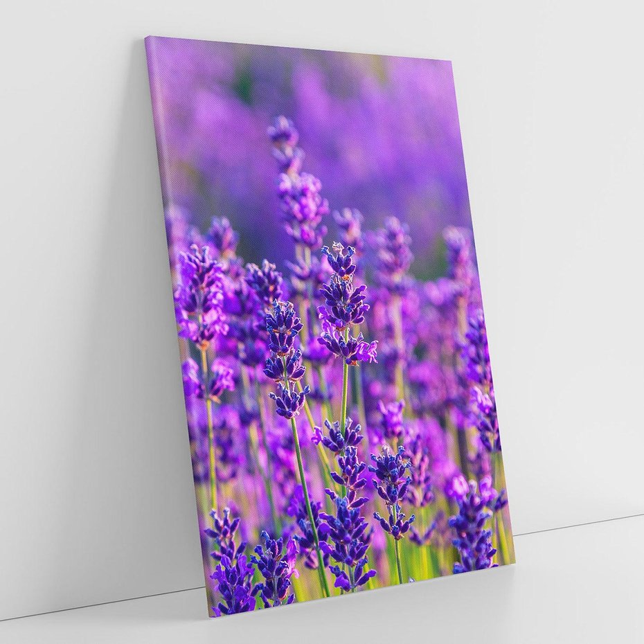 Obraz na płótnie 80x120 - Zaklęta lawenda - lawenda, kwiaty