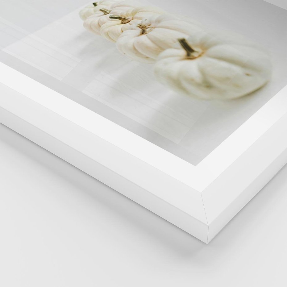 Plakat w ramie 30x40 - Białe Dynie - białe dynie, jesień - rama biała
